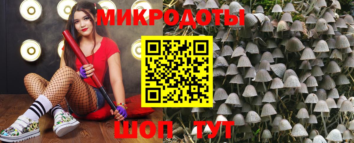 Псилоцибиновые грибы MAGIC MUSHROOMS  Галлюциногенные грибы мицелий  Ишимбай  Вход с VPN 